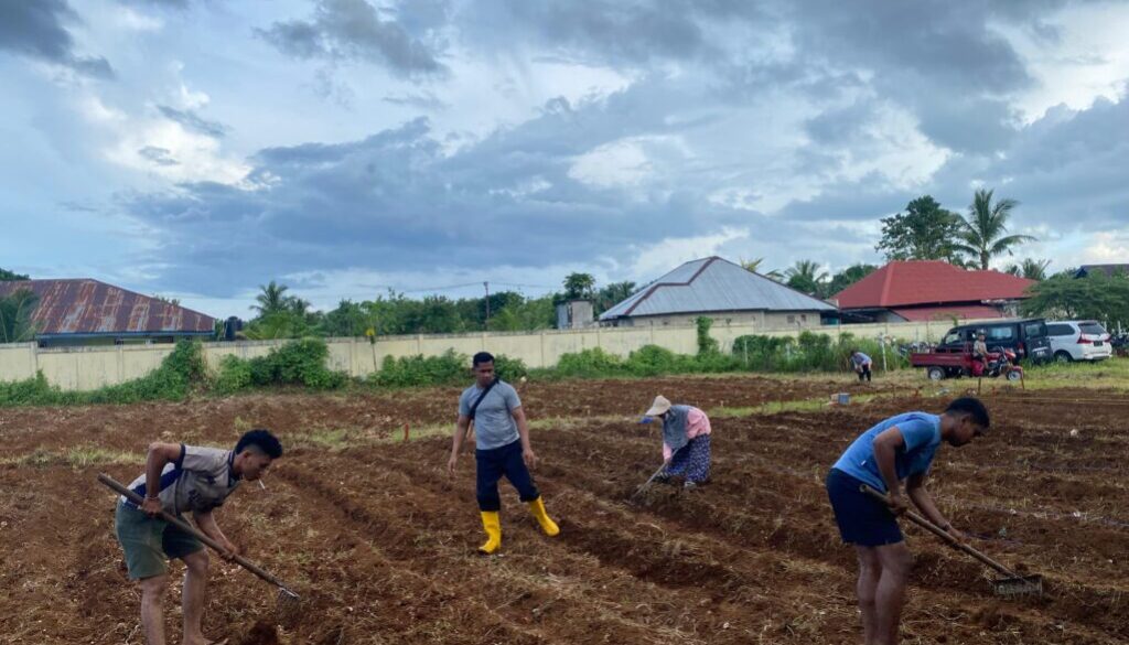 IMG-20250113-WA0020 IMG-20250113-WA0020