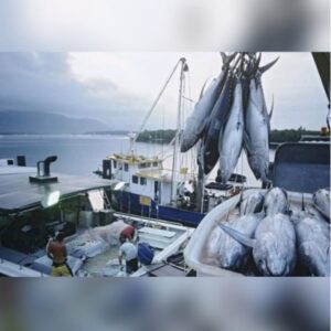 IMG-20251223-WA0009